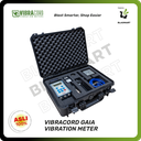 Vibracord Gaia 3 Channel Version (ISEE 2-250 Hz)